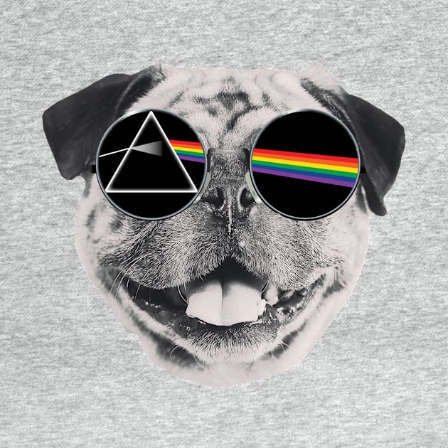 Dark Side Of The Pug by Rebus28